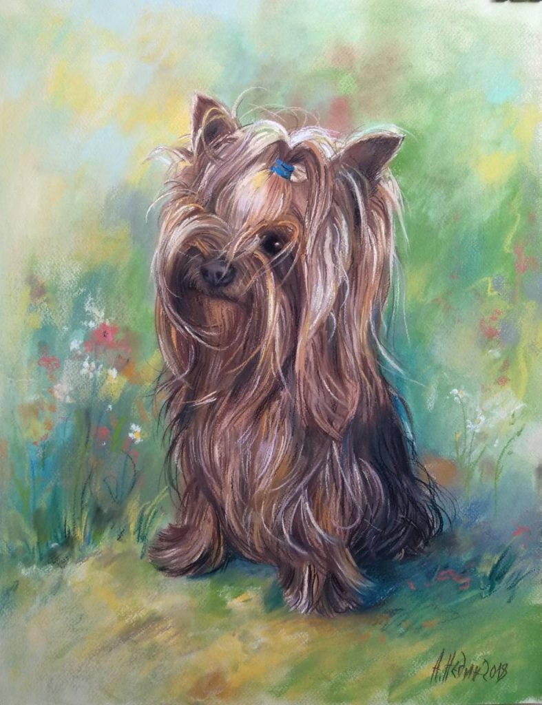Ангелина Недин 2018 -портрет на домашен любимец-кученце-сух пастел